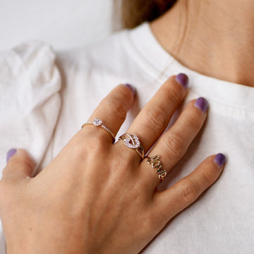 Anillos