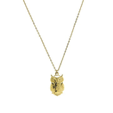 Cadena y Colgante Búho Acero Tesi García