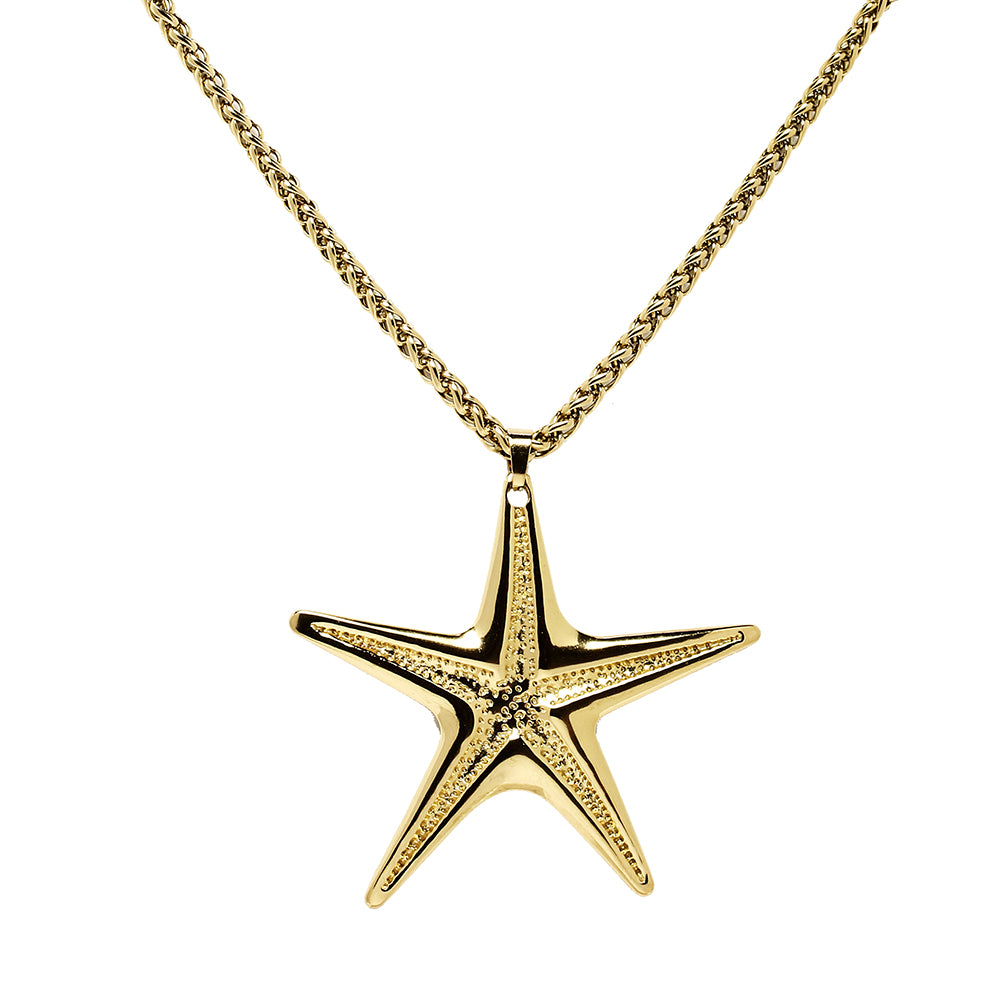Gargantilla Estrella de Acero Dorado