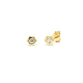 Pendientes Flor de Plata de Ley 925 con Circonitas
